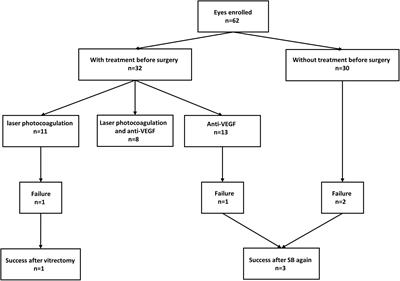 Evaluation of segmental scleral buckling surgery for stage 4A retinopathy of prematurity in China